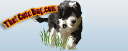 ThatCuteDog.com logo